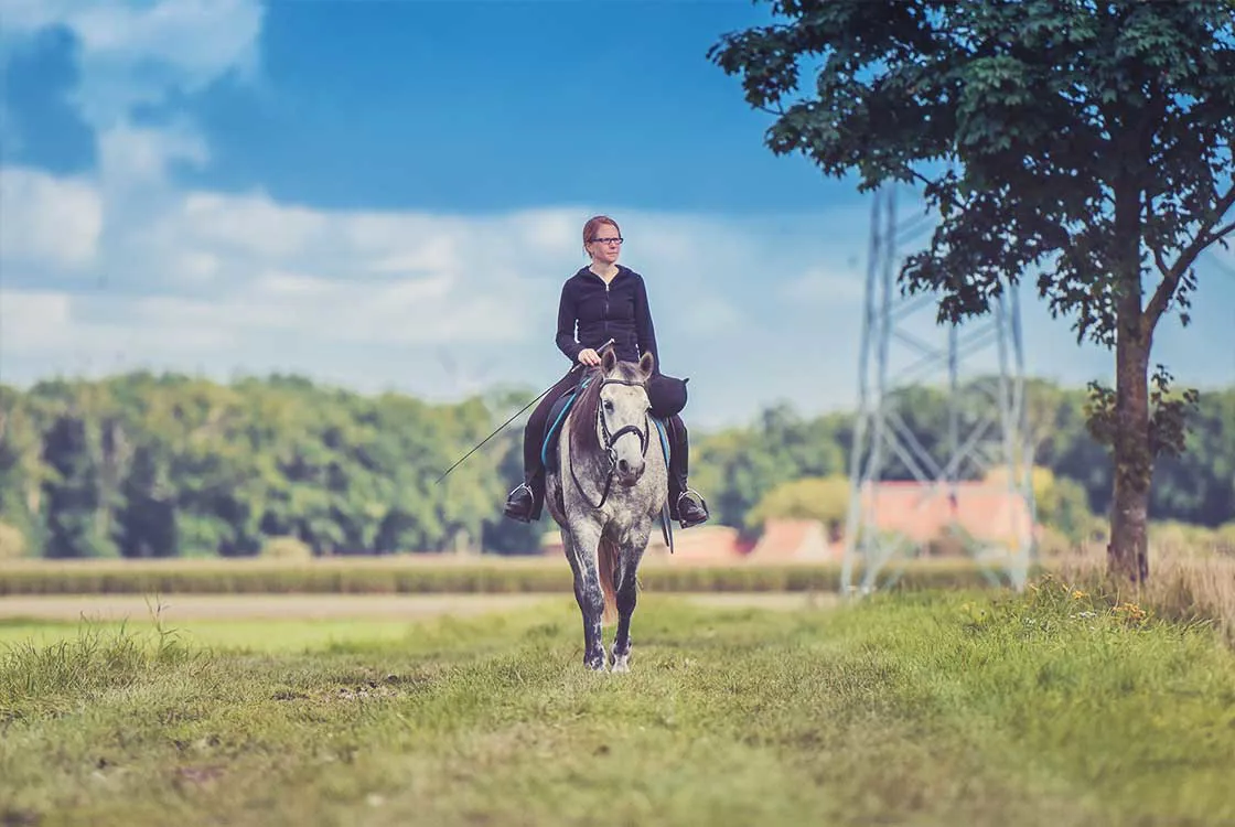 Horse Riding